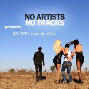 ArtworkVideo