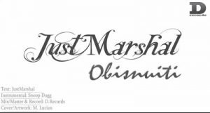 JustMarshal-Obisnuiti