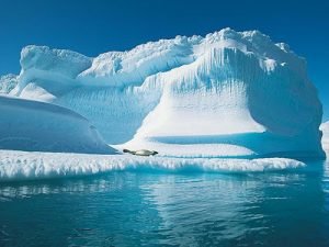 Cold North Pole Screensaver 1.0.2