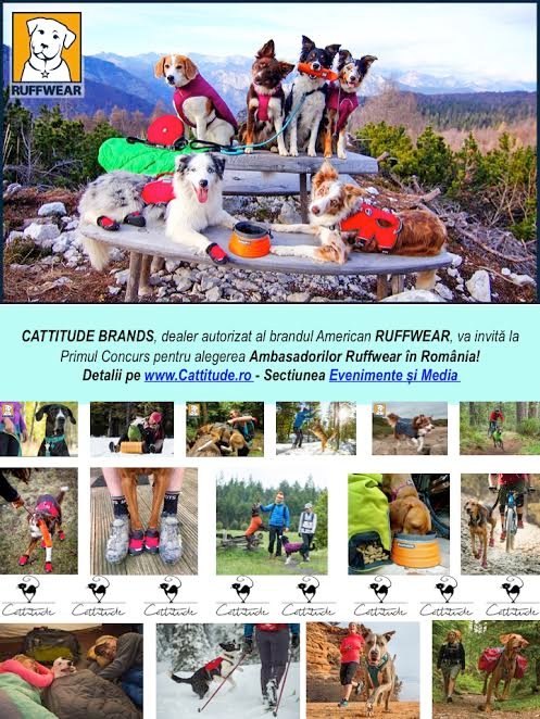 Cattitude Brands lansează în exclusivitate primul concurs cu animale de companie ” Ambasadorii Ruffwear în România” Aflați mai multe despre eveniment din acest interviu cu founder-ul Cattitude!