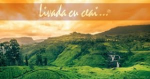ceai-verde-livadacuceai