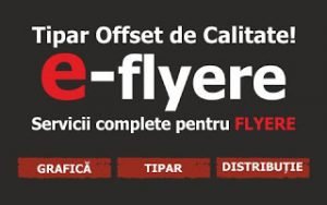 logoe-flyere