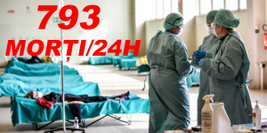 793 MORTI