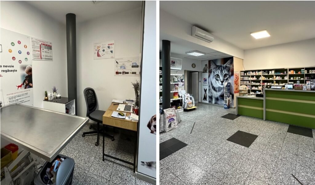 clinica-bellmovet